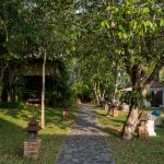 甲米拉普拉亚度假村 : 花园吧