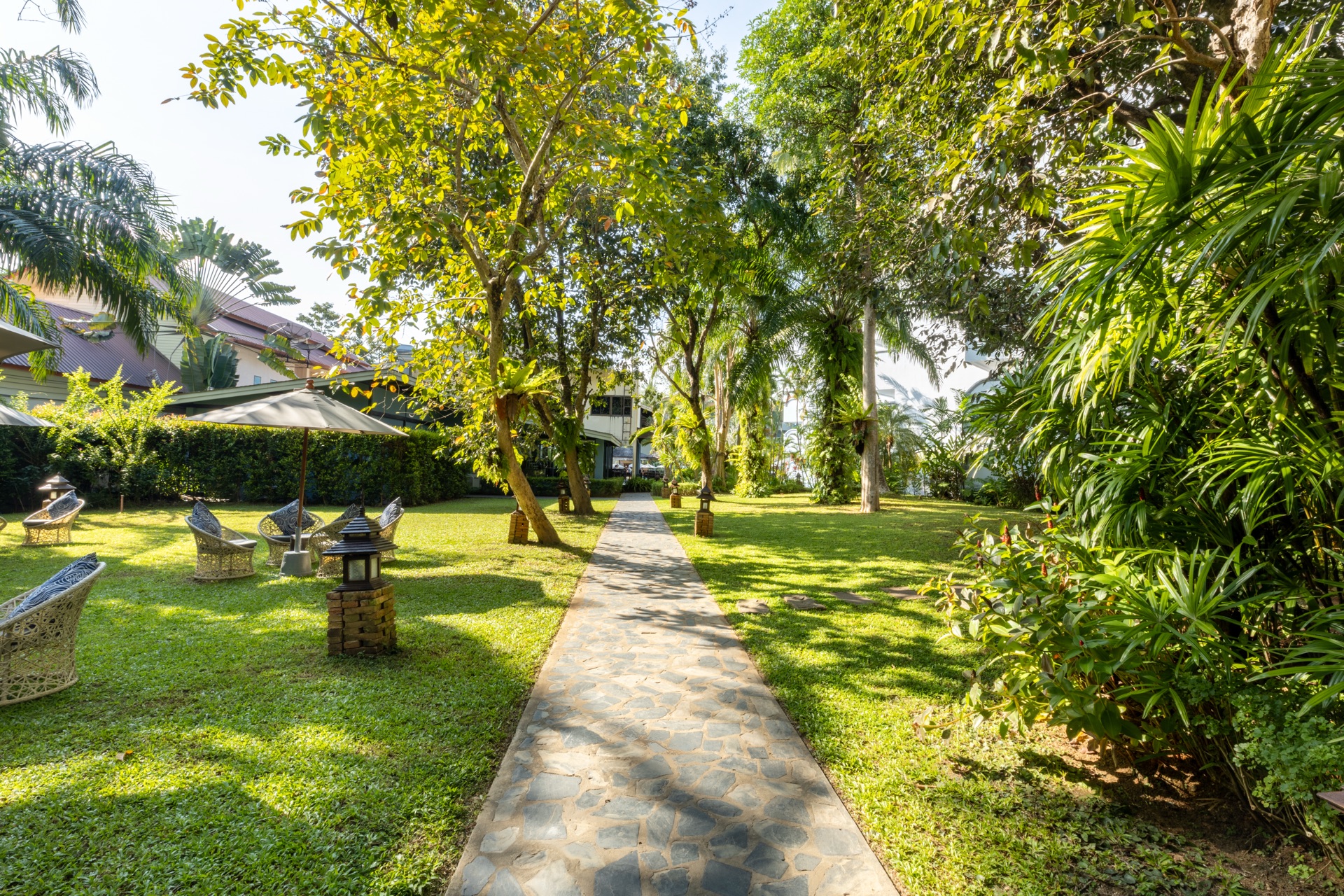 Two acres of tropical garden