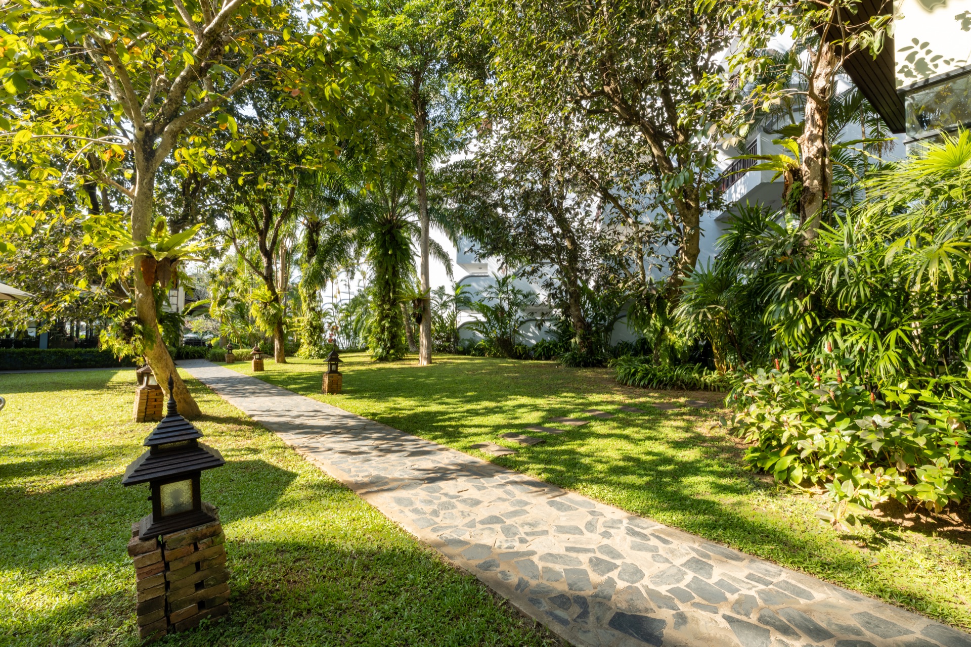 Shaded garden walkway
