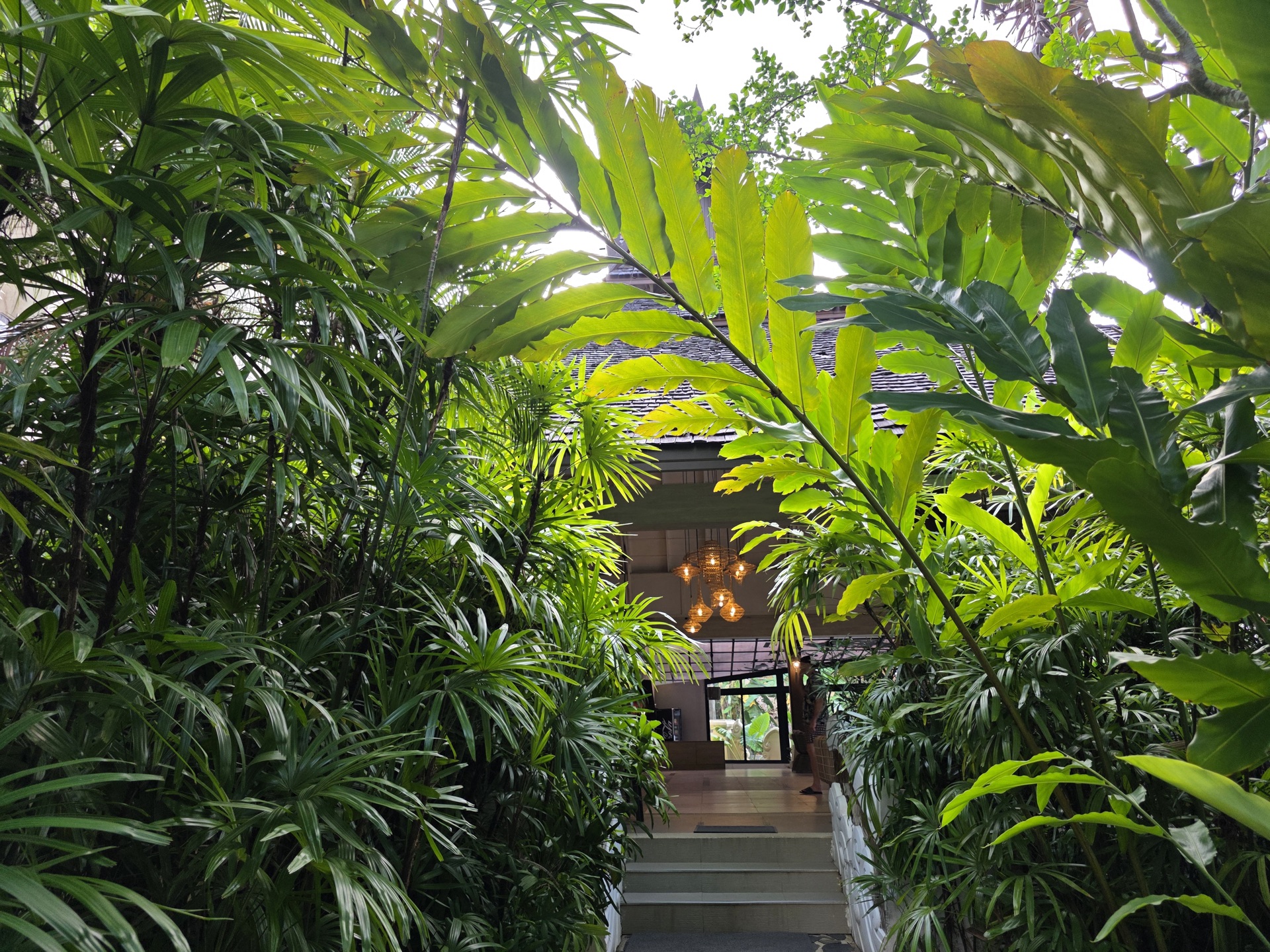 Garden greenery