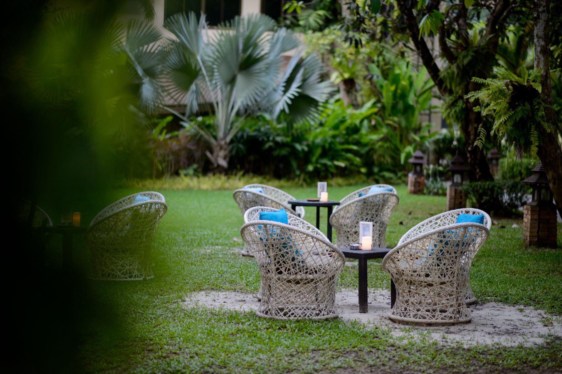 Evening in the garden